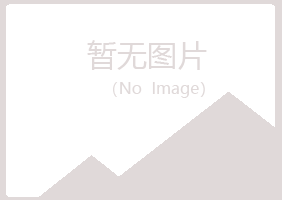 鹤岗兴山夜白水泥有限公司